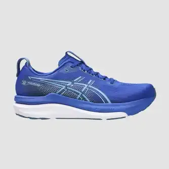 Asics Mens Gel Kayano 33 D Running Shoes