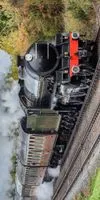 Steam Train Strandtuch aus Baumwoll-Frottee 70x140 cm