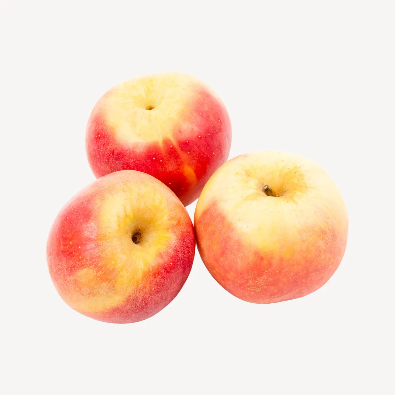 rose apples