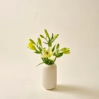 SuperValu Lily (1 Piece) Open Product Description
