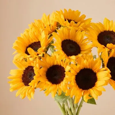Boeket Zonnebloemen