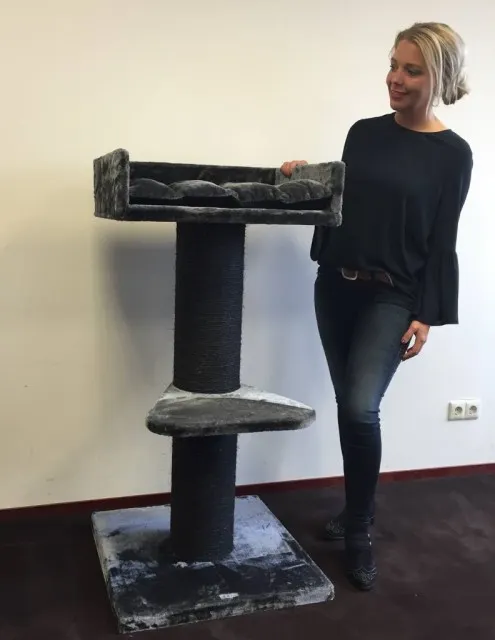 Maine Coon Lounge Blackline Dark Grey