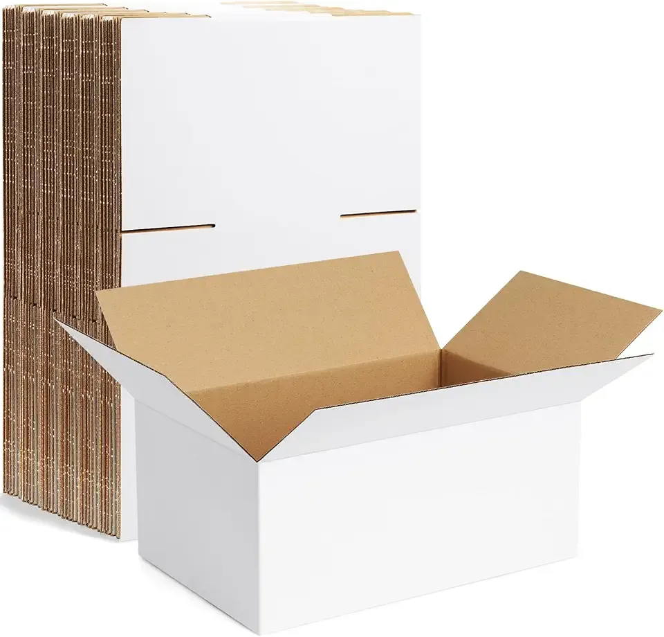 Famagic 10 Pack 9x6x4 Inch Small Shipping Boxes White Corrugated Cardboard Boxes Mailer for Small Business, Mailing Boxes for Packaging Bulk