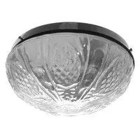 Plafón ananá esmerilado 20 cm