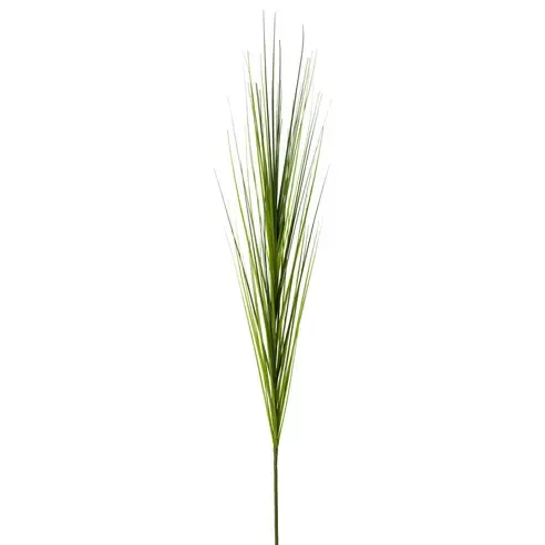 Isolepsis Gras - grün - 115 cm hoch