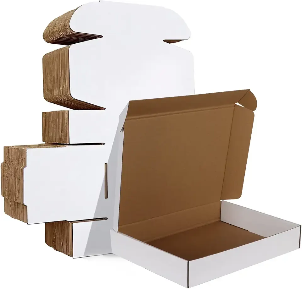 HORLIMER 12x9x2 inches Shipping Boxes Set of 25, White Corrugated Cardboard Box Literature Mailer