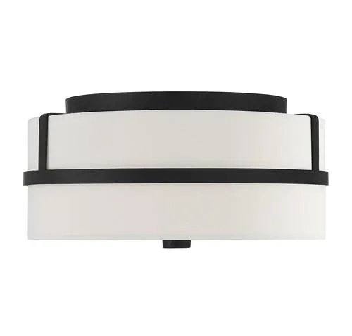 Meridian 2-Light Matte Black Flush Mount Ceiling Light