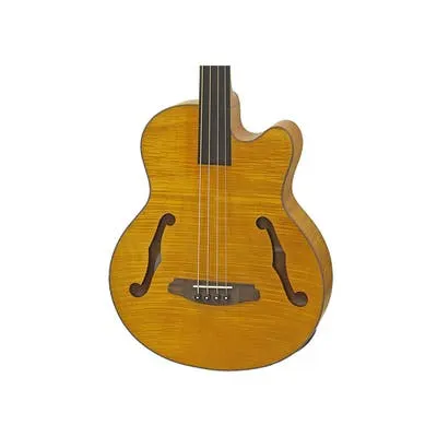 ARIA FEB-F2M FRETLESS 814MM MEDIUM SCALE ELECTRIC ACOUSTIC BASS - STAINED BROWN - WITH BAG