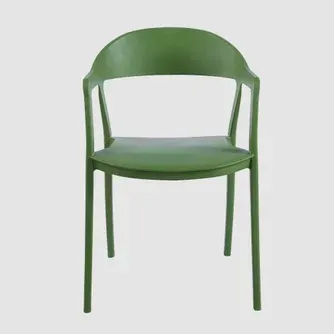 Classic Living Hugo Resin Chair With Arms Thorn Green