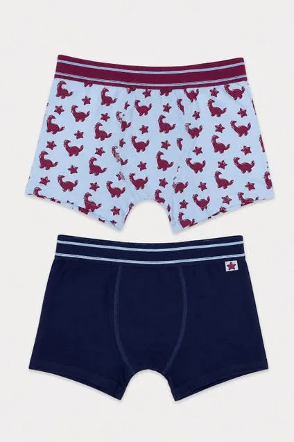 Kids 2-pack katoenen boxershorts met dino's - inSua