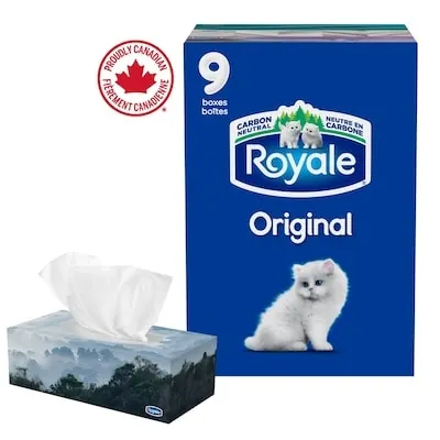 Original Facial Tissue, 9 Flat Boxes, 100 Tissues per box