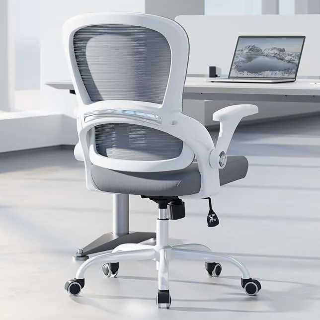 TRALT Ergonomic Office Chair - Comfy Desk Chair with Back Support, Home Office Desk Chairs, Computer Chair, 330lbs Wide Seat Big and Tall Office Chair for Executives (Grey)