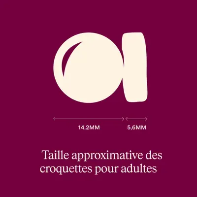 Carnilove Active Adult Agneau et sanglier