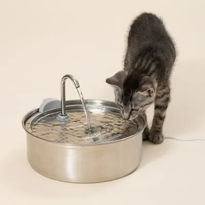 TIAKI fontaine à boire en acier inoxydable pour chat et petit chien