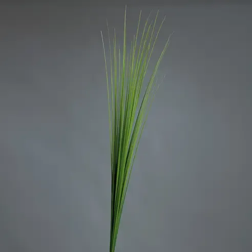 Isolepsis-Gras - Kunstpflanze - grün