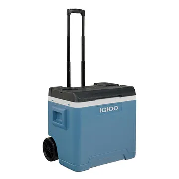 Frigo Portatile con Ruote e Maniglia Telescopica 42 Litri