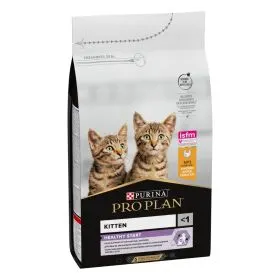 Pro Plan kitten Original piletina