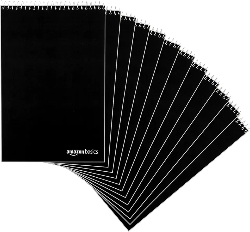 Amazon Basics Steno Books, Gregg Rule, Green Paper, 80 Sheets, 6" x 9", 12-Pack