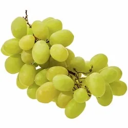Green Seedless Grapes