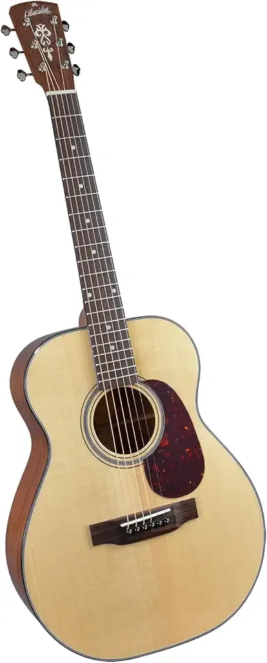 Blueridge Pioneer BR-141 Acoustic Guitar - Solid Spruce with Gig Bag