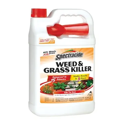 Ready-to-Use 1 -Gallon Weed and Grass Killer