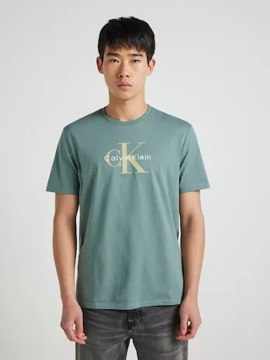 Calvin Klein Short Sleeve Hero Monologo Tee 30S In Autumn Green