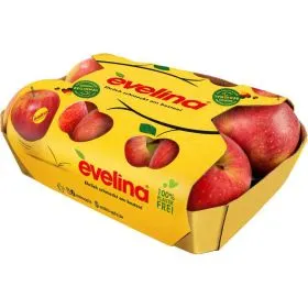 Apfel Evelina Kartonschale