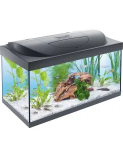 Tetra Starter Line 54 l - Aquarium - Zwart 61x32x36 cm