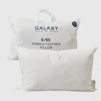 Galaxy 5/95 Duck Down Pillow