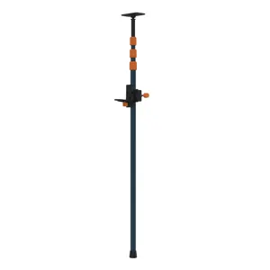 Asta telescopica DEXTER
