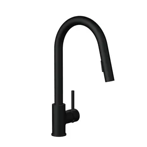 Grifo de cocina monomando caño alto DELINIA Lily extraíble 2 funciones negro mate