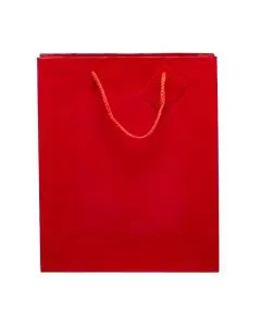 DG Party Large Gift Bag - Red, 1 ct