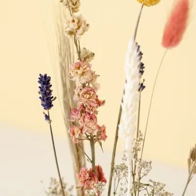 Brievenbus | Droogbloemen plankje