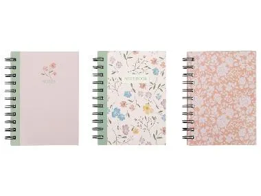 Cuadernos