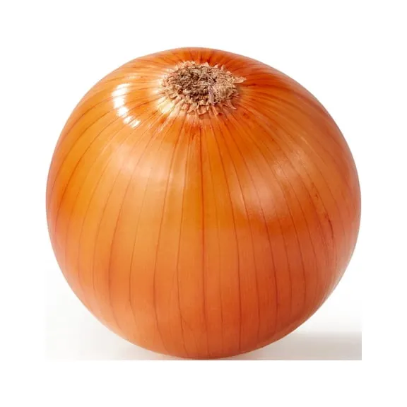 Fresh Whole Yellow Onion, Each $0.60 Was $0.86 80.0 ¢/lb