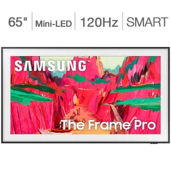 Samsung 65" Class - The Frame Pro Series - Neo QLED 4K Mini LED - Art Mode Vision AI Smart TV - Allstate 3-Year Protection Plan Bundle Included For 5 Years of Total Coverage*