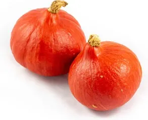 Pompoen (Cucurbita 'Red Kuri') D 10 cm