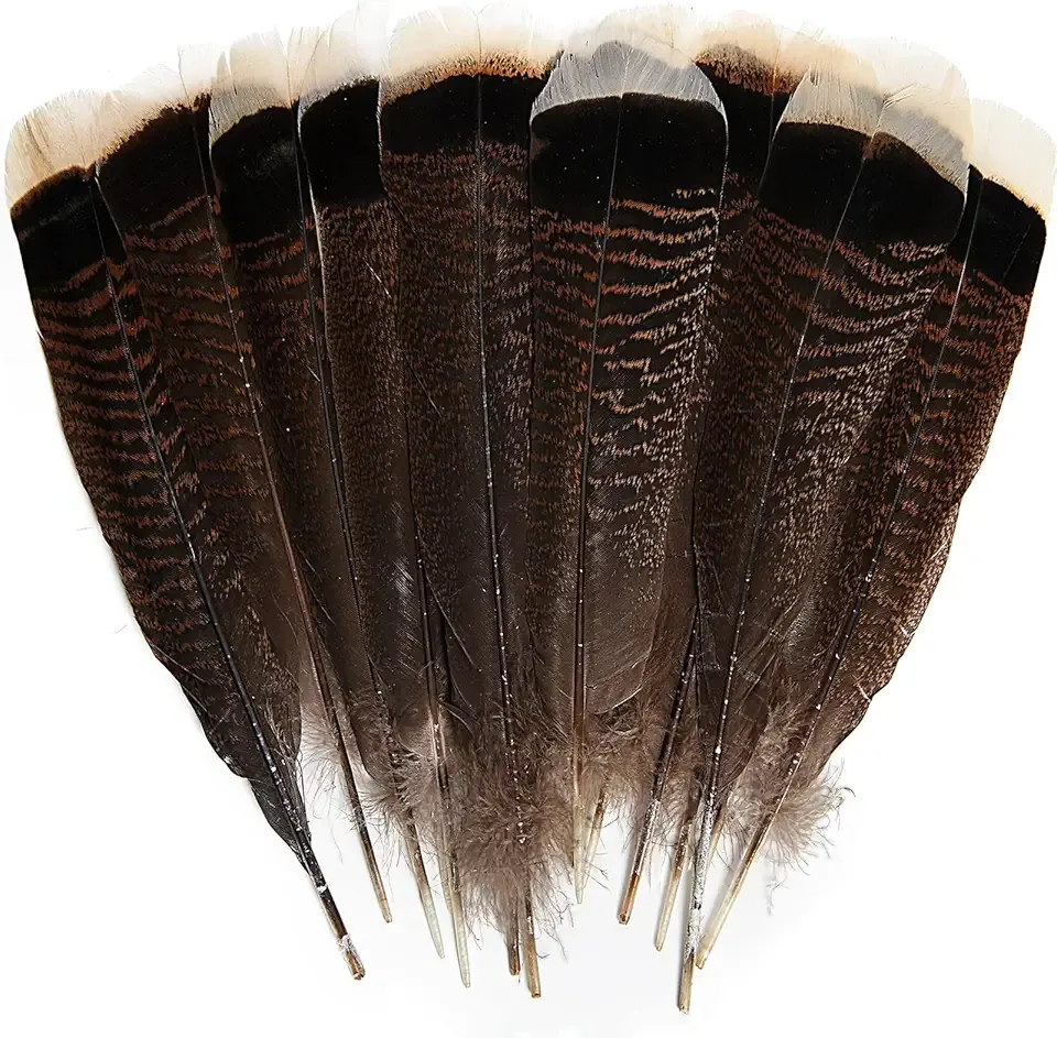 THARAHT 24pcs Natural Wild Turkey Tails Feathers Quill Bulk 10-12inch 25-30cm for DIY Crafts Project Collection Wedding Decoration Wild Turkey Tails Feather