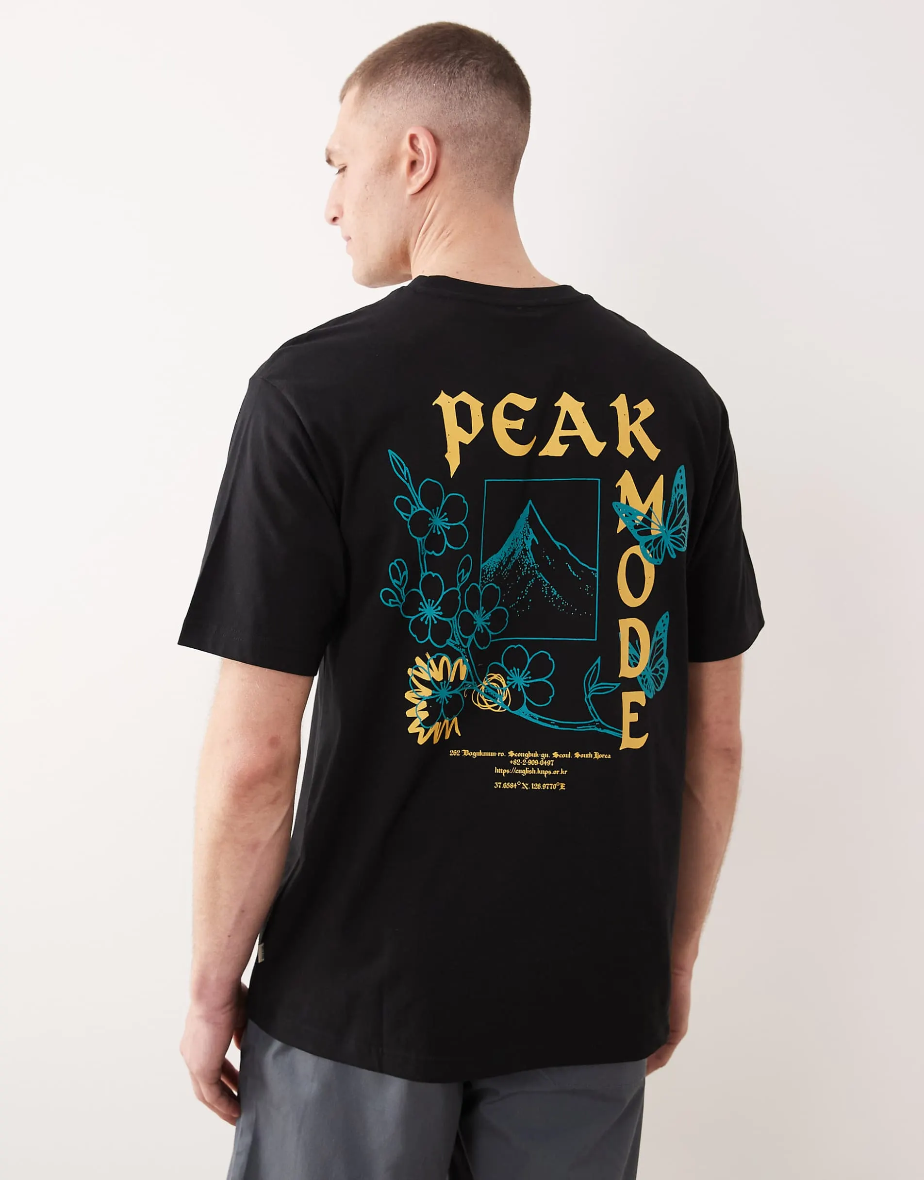 ONLY & SONS oversized fit t-shirt with mountain back print in black
