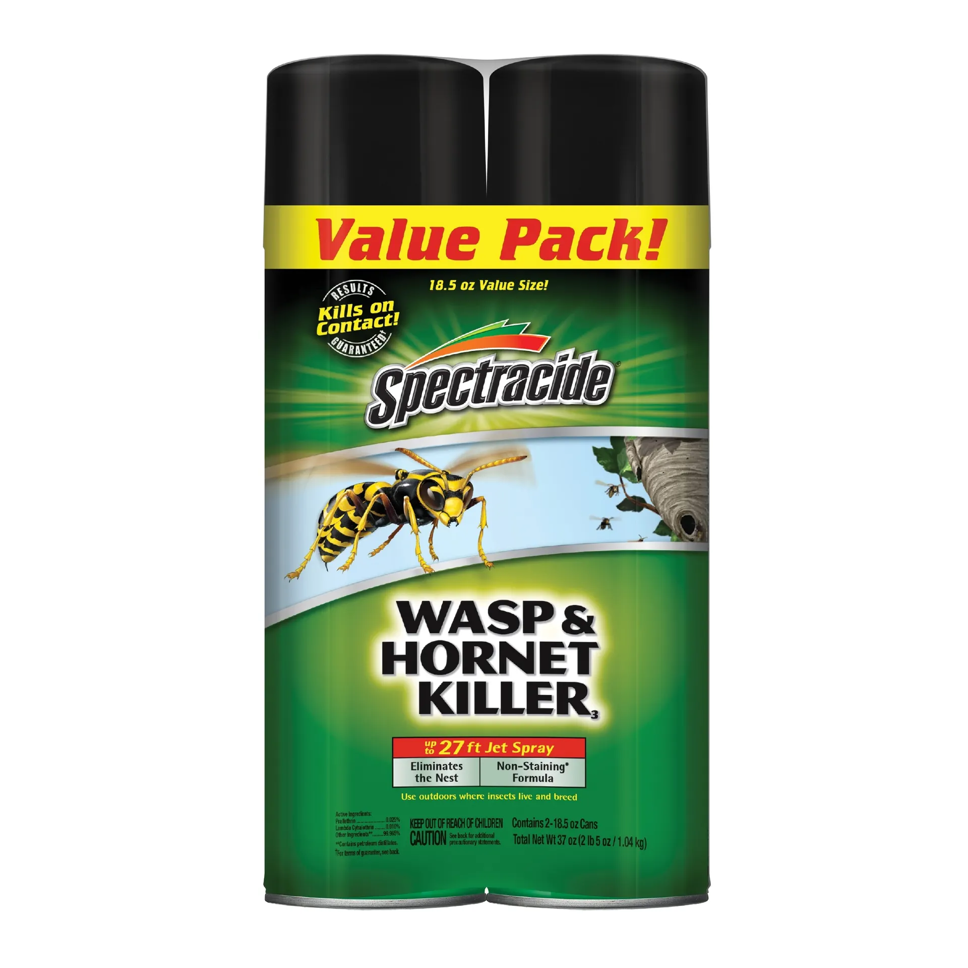 Wasp and Hornet Insect killer 18.5 -oz 2 -Pack