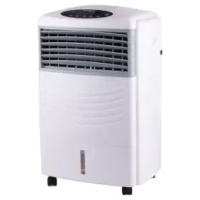 Raffrescatore 3 in 1 con telecomando 70 W, Triofresh Kooper