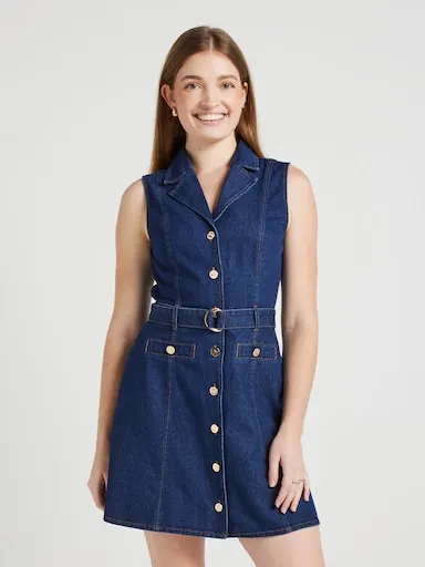 Katie Denim Collar Mini Dress