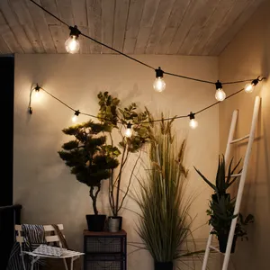 Guirnalda led Minta INSPIRE 10 luces negra con mando