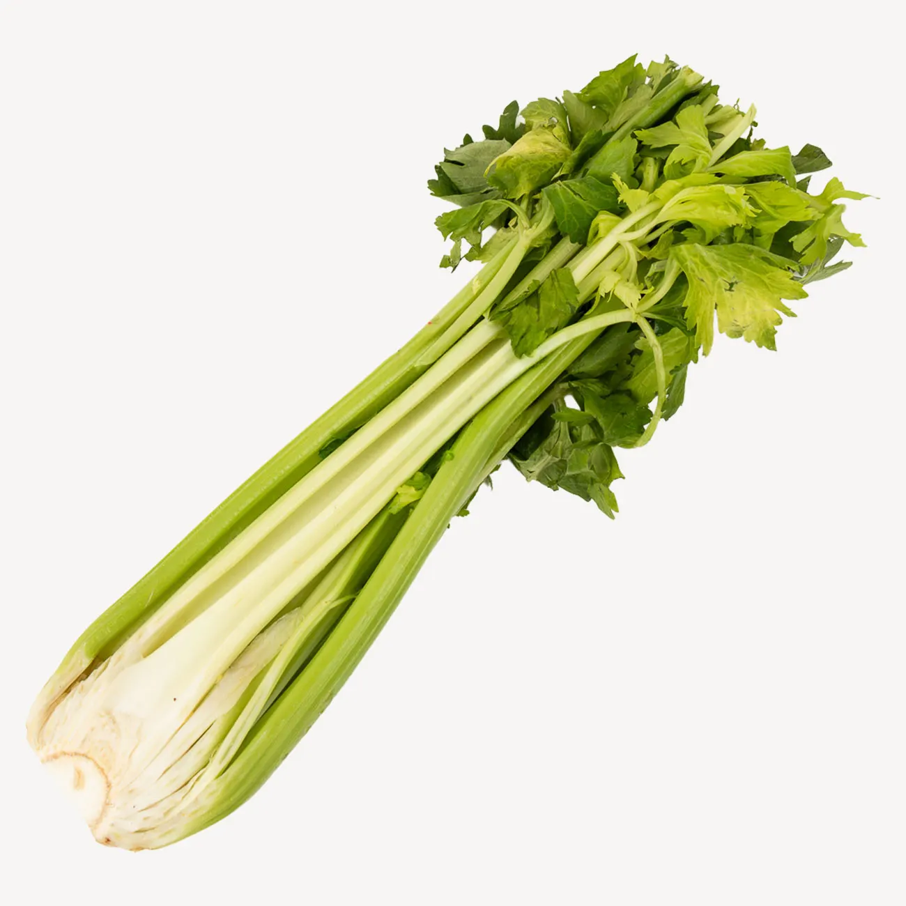 celery half