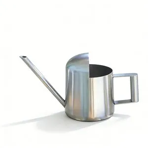 Annaffiatoio piccolo, per piante da interno ed esterno, in acciaio inossidabile con beccuccio lungo, per innaffiare fiori e piante (argento)