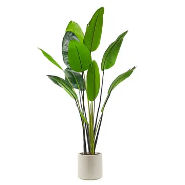Pianta artificiale Banano in vaso