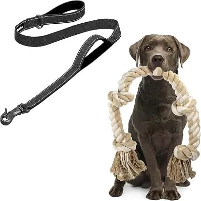 PetiFine 4FT Heavy Duty Dog Leash with Soft Padded Dou…