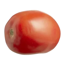 Roma Tomatoes
