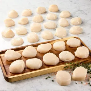 Coastal Seafood New England Scallops U10 3 Pack, 1 Lb Each. 3 Lbs. Total