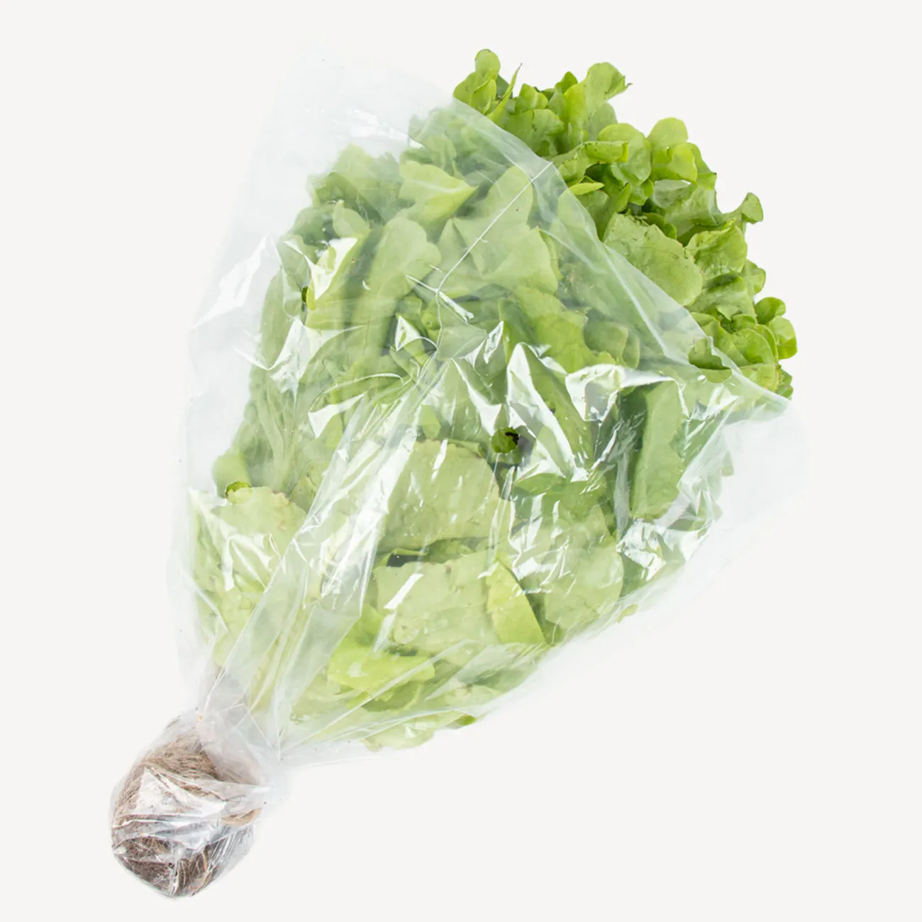 fancy lettuce